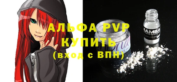 эйфоретик Вяземский