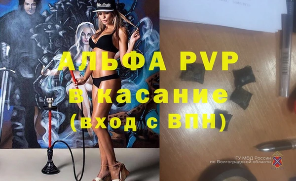 эйфоретик Вяземский