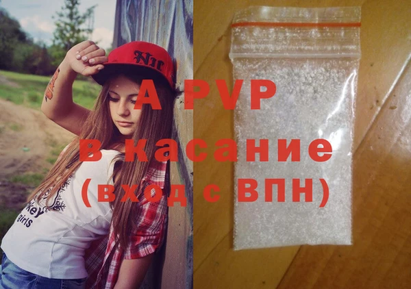 эйфоретик Вяземский