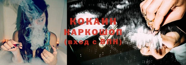 эйфоретик Вяземский
