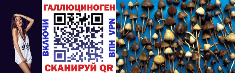 мориарти клад  ссылка на мегу маркетплейс  Керчь  Галлюциногенные грибы Magic Shrooms 
